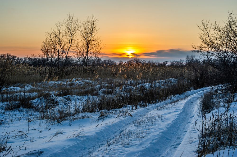 Photograph by Роман Васильев