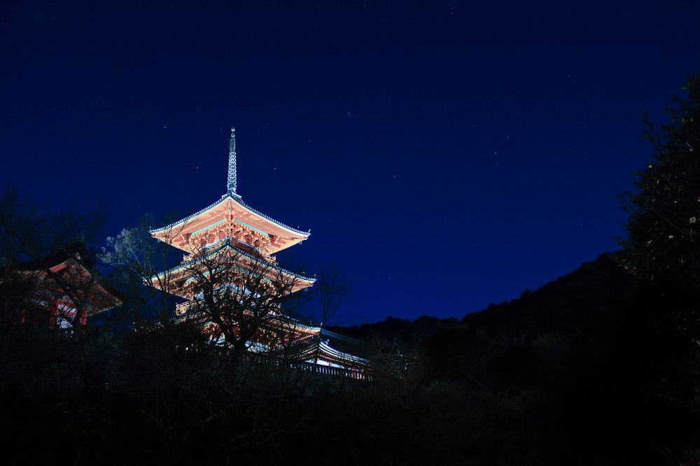 Photograph by Fernandes Felipe