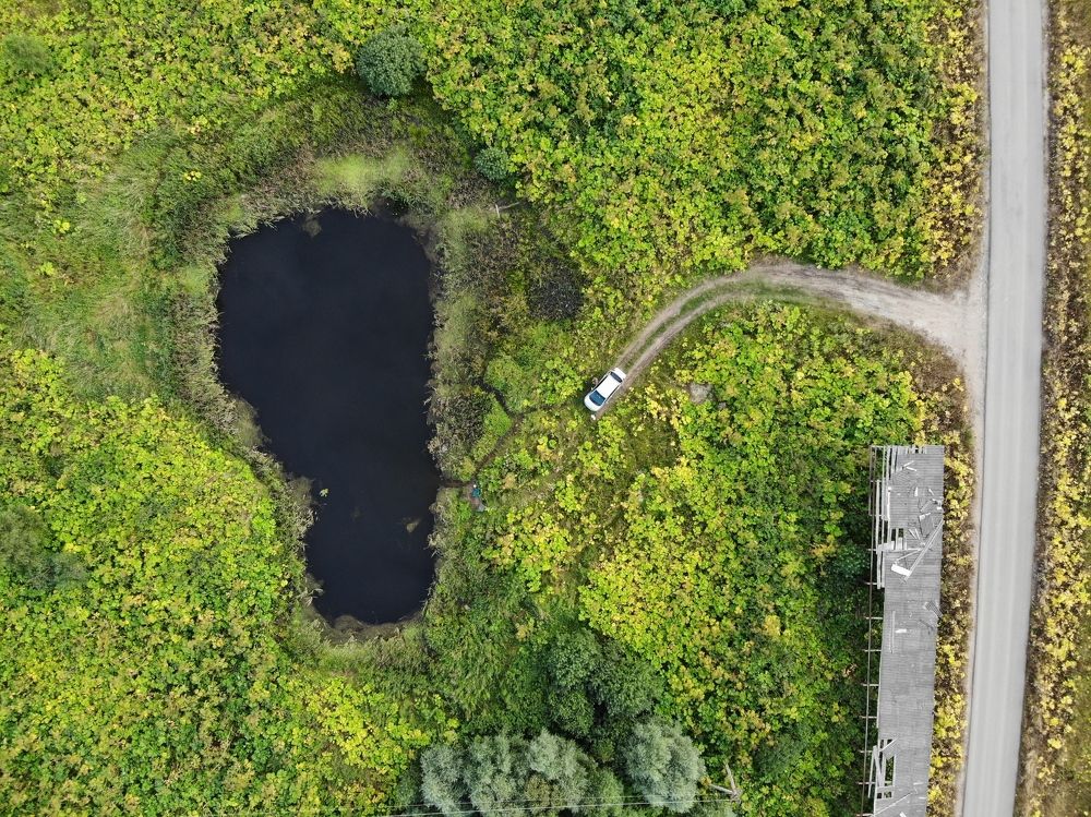 Photograph by Юлия Горячева