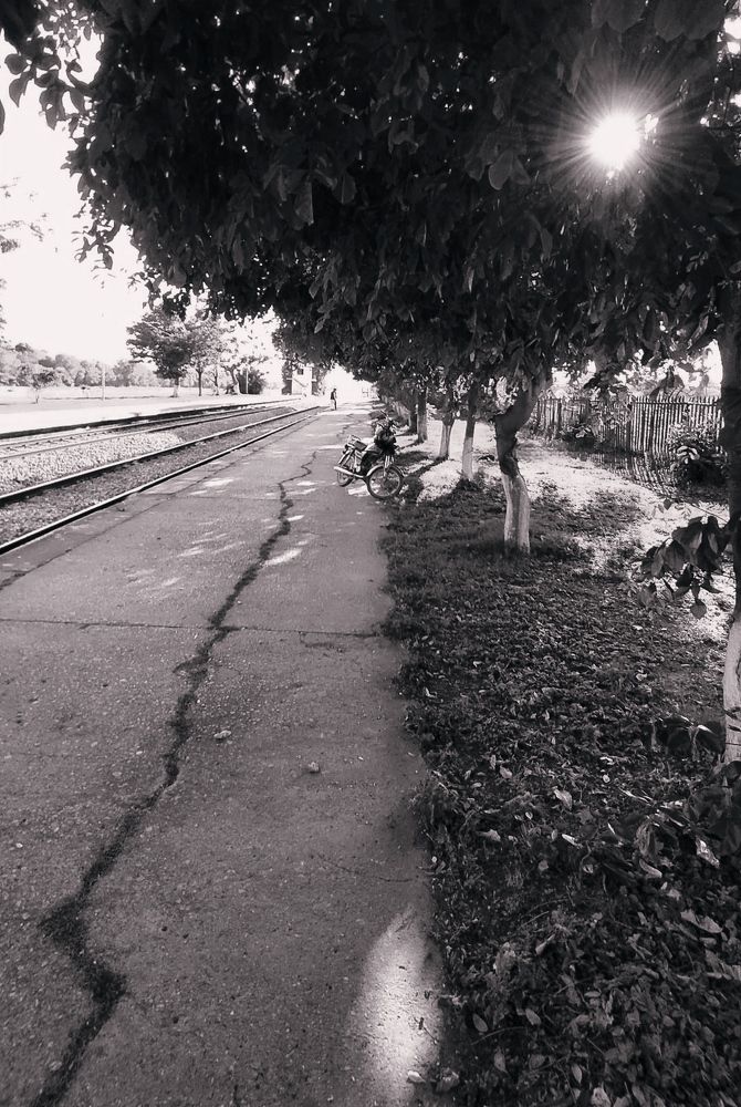 Фотография автора ALI SHAH SYED SHAH ZAIB