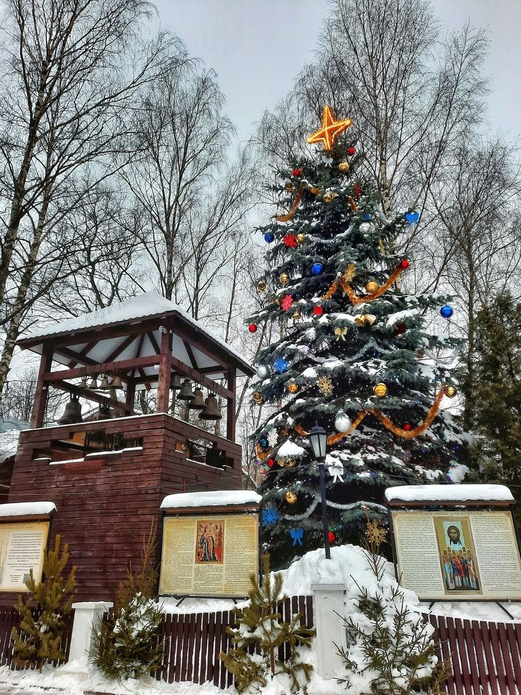 Photograph by Павел Борщев