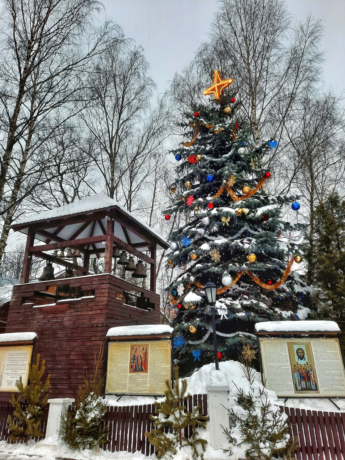 Photo #5588702