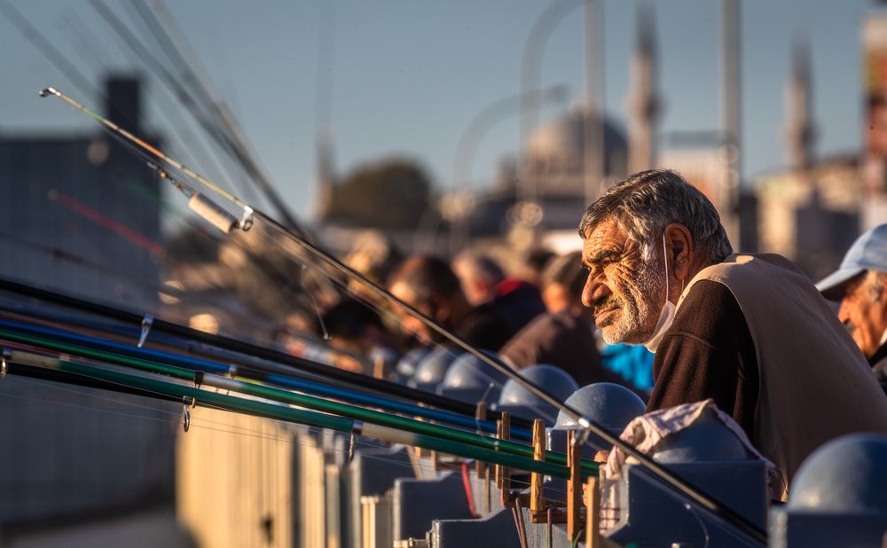 Photograph by Александр Лозицкий