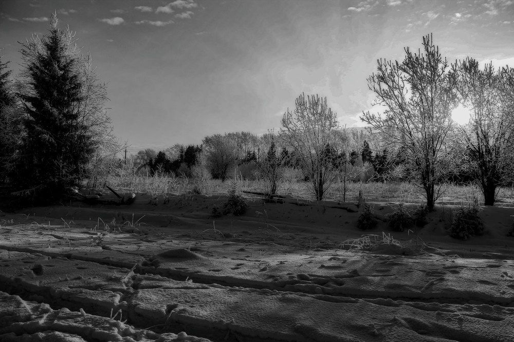 Photograph by Александр