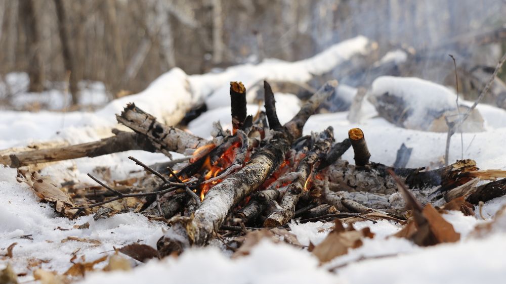 Photograph by Svetlana Victorovna Kibyakova