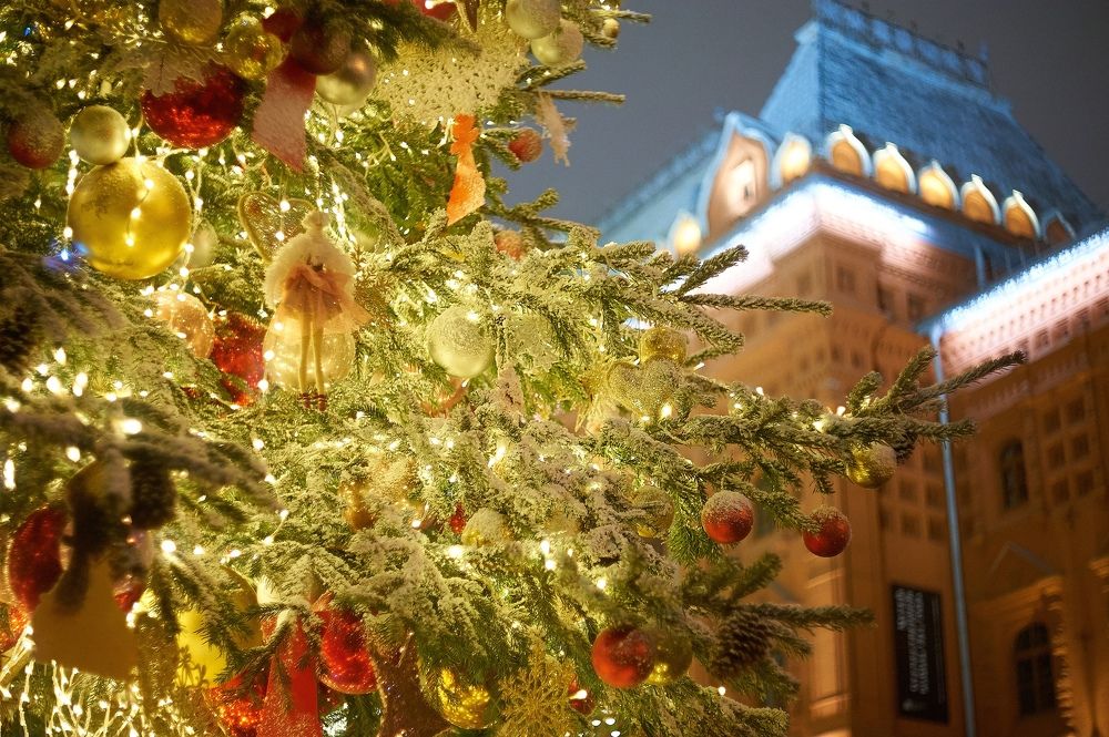 Photograph by Alexander Coin