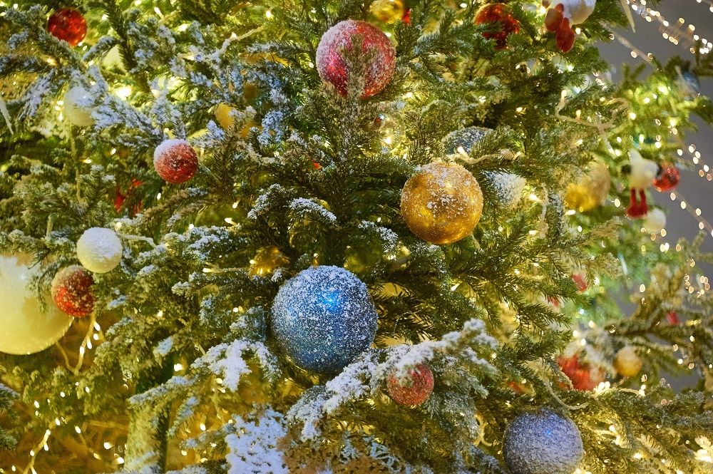 Photograph by Alexander Coin