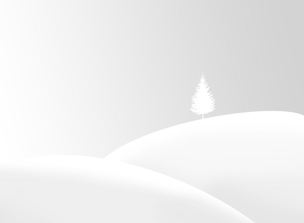 Photograph by alireza yazdani