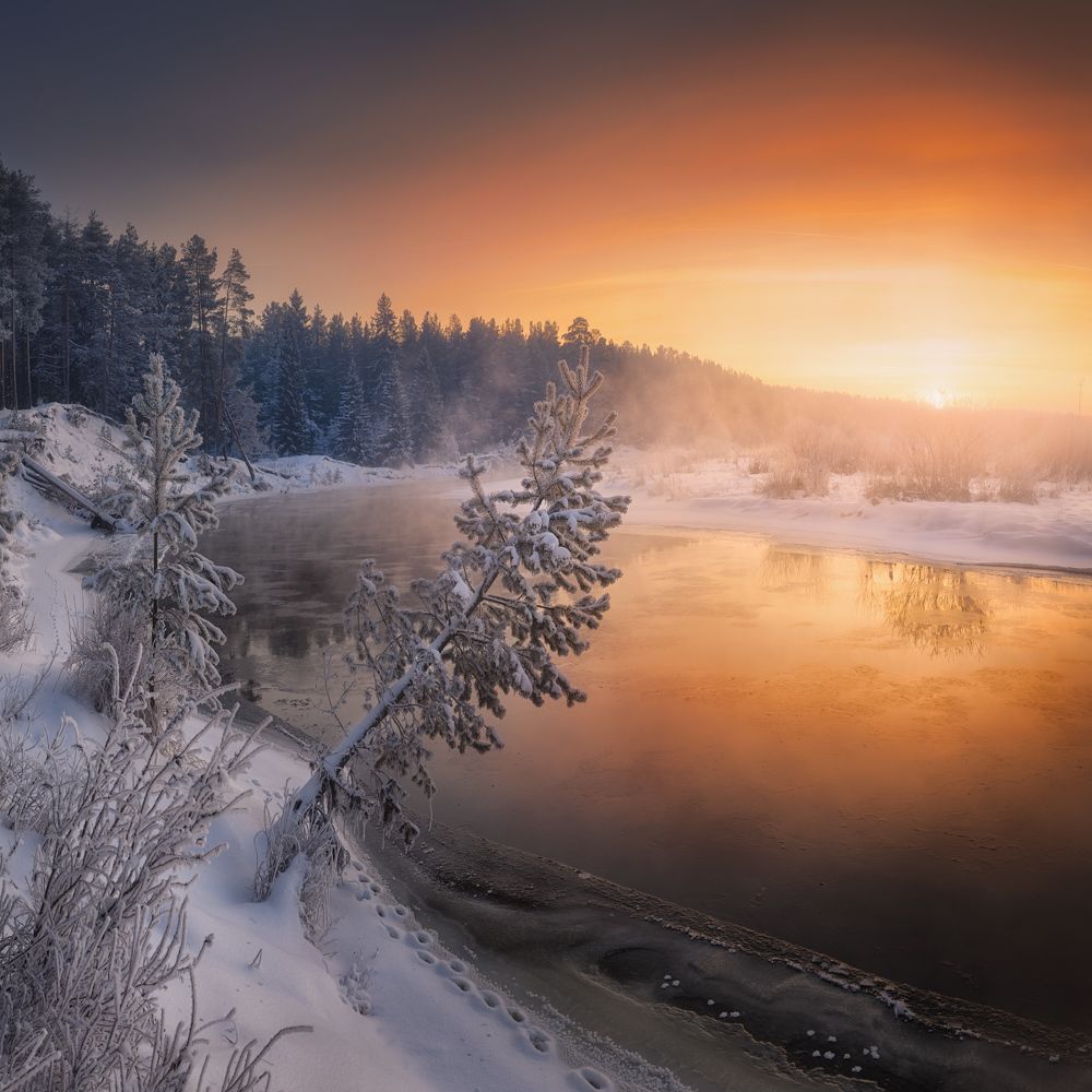 Фотография автора Дмитрий Медянцев