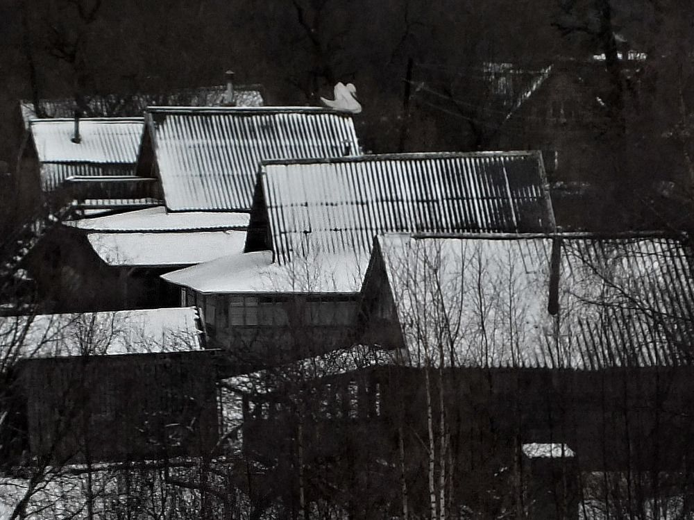 Photograph by Дмитрий Крылов