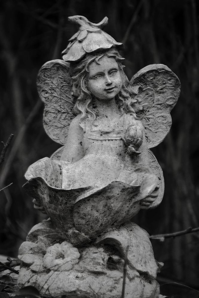 Photograph by Djordje Filipovic