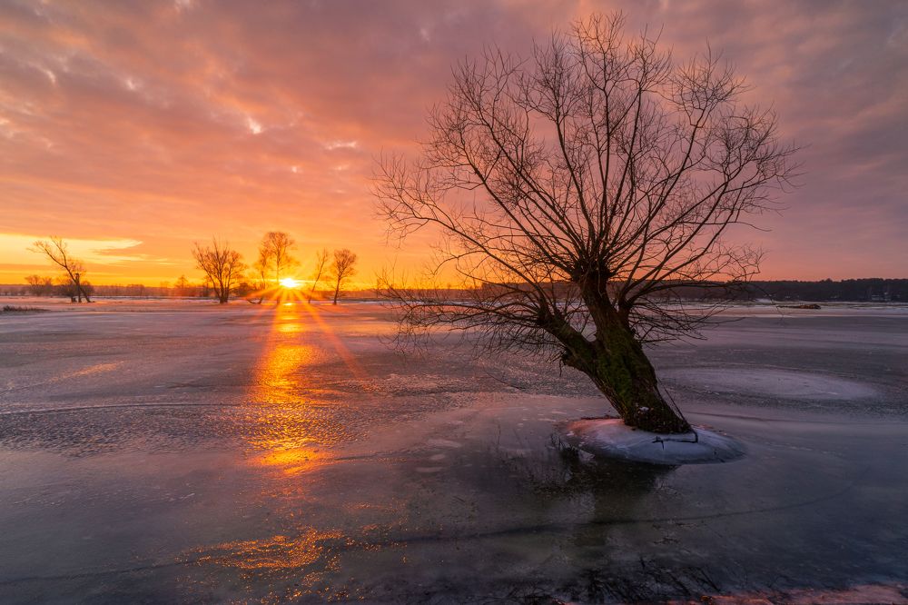 Photograph by Sławomir Sot