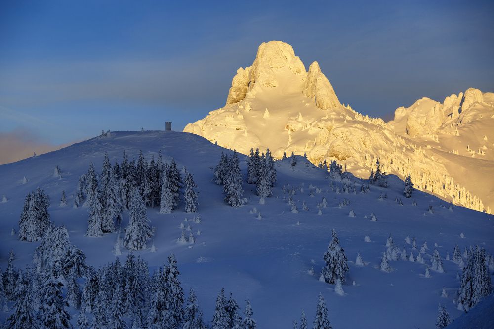 Photograph by Daniela Stancioiu