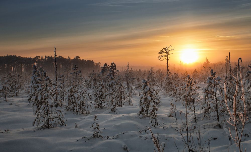 Photograph by Андрей Сердюченко