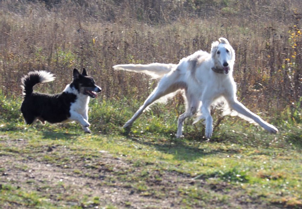 Photograph by Екатерина Шмелева