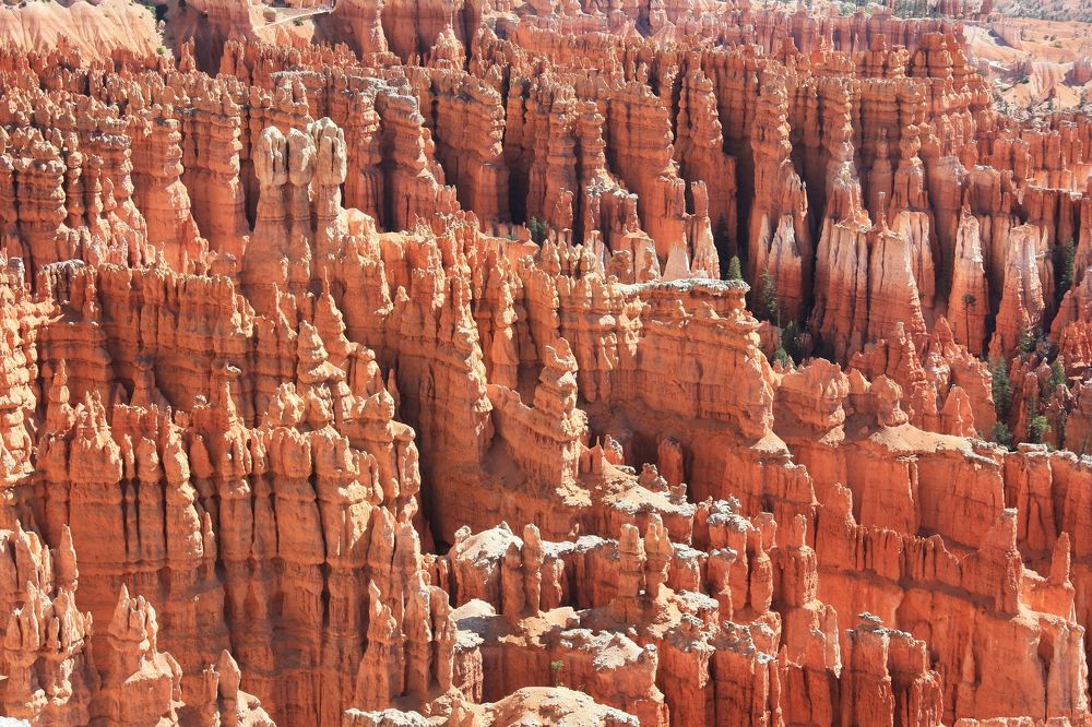 Photograph by Людмила Травина