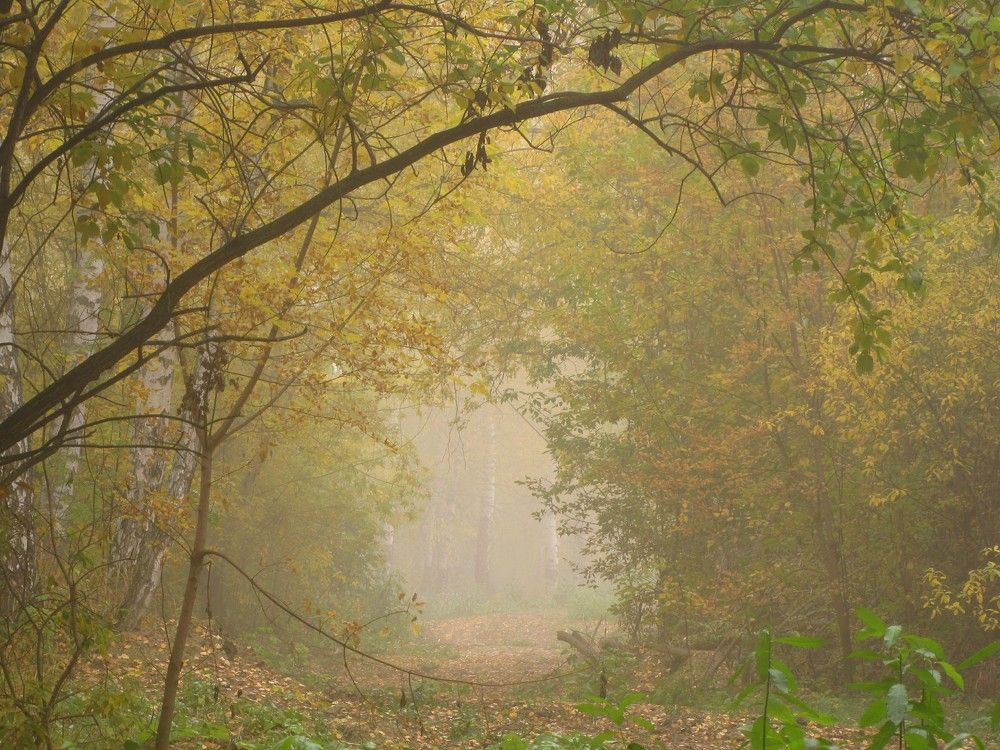 Misty October morning