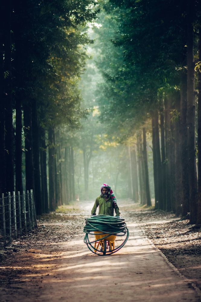 Photograph by Midhath Chowdhury