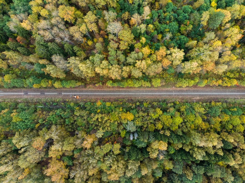 Photograph by Travel Azart