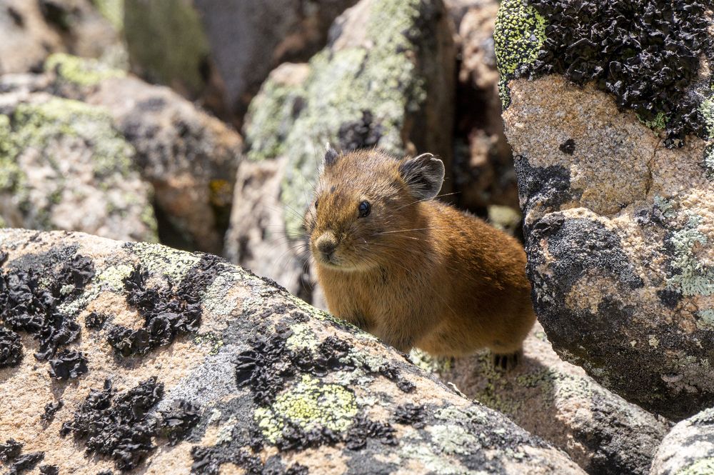 Photograph by Ксения Дудкина