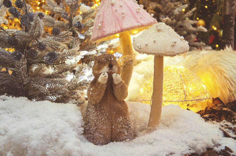 Photograph by Павел Минкевич