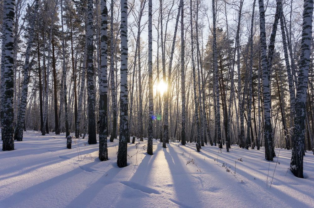 Photograph by Ксения Дудкина