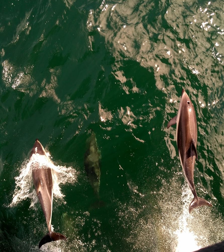 Photograph by Ivan Karavka