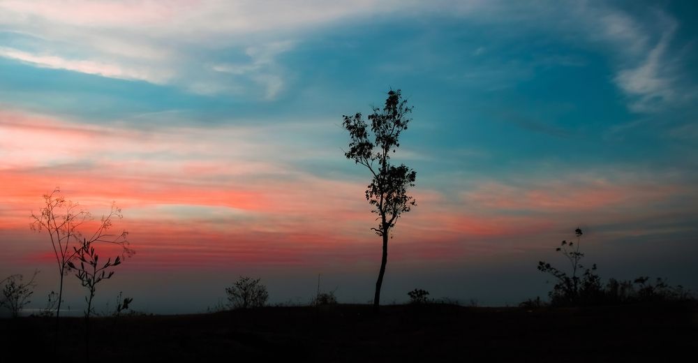 Colors of nature