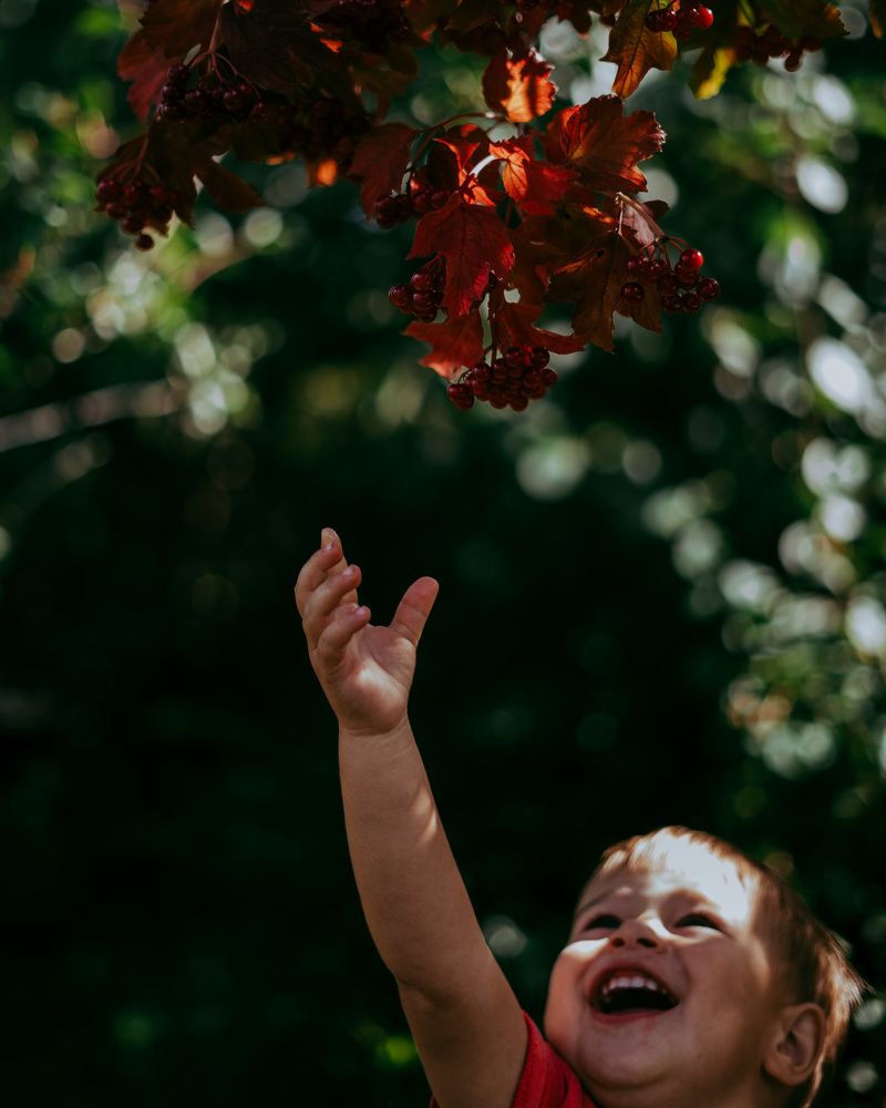 Непокоренная вершина