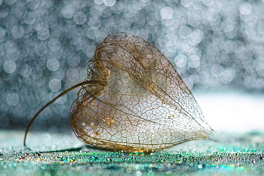 Photograph by Алена Зотова