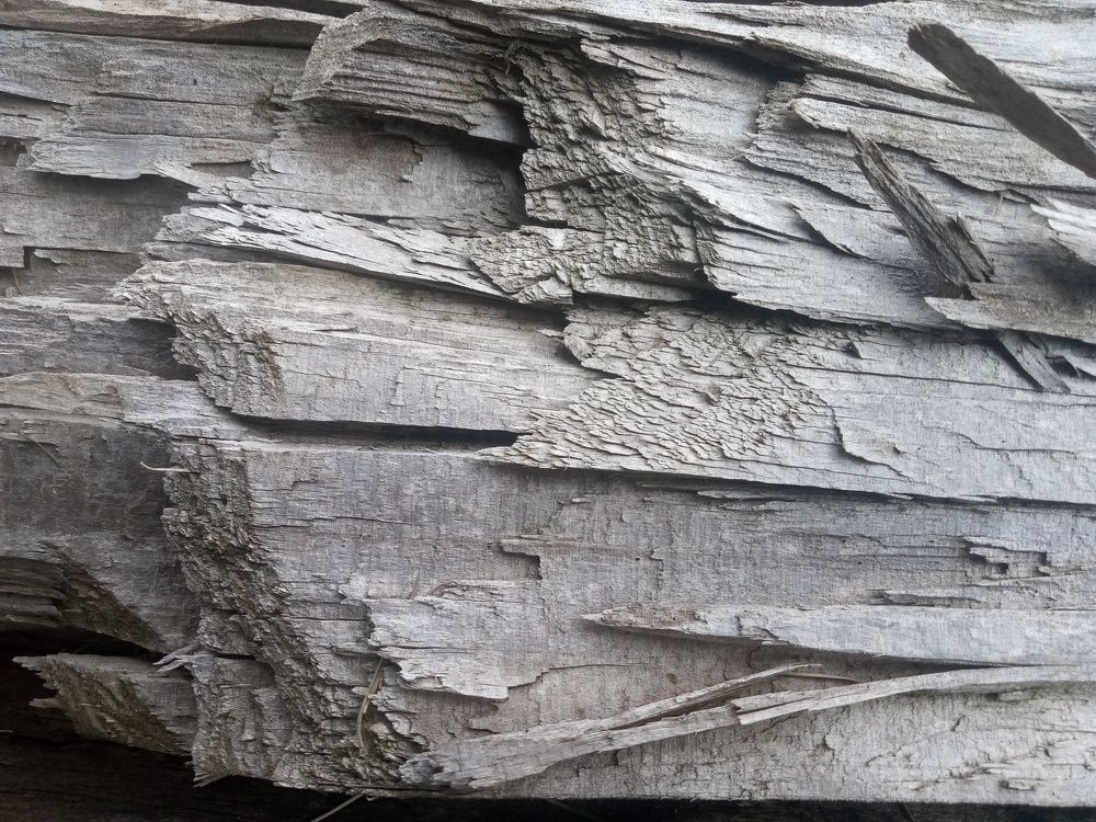 Photo #5589629