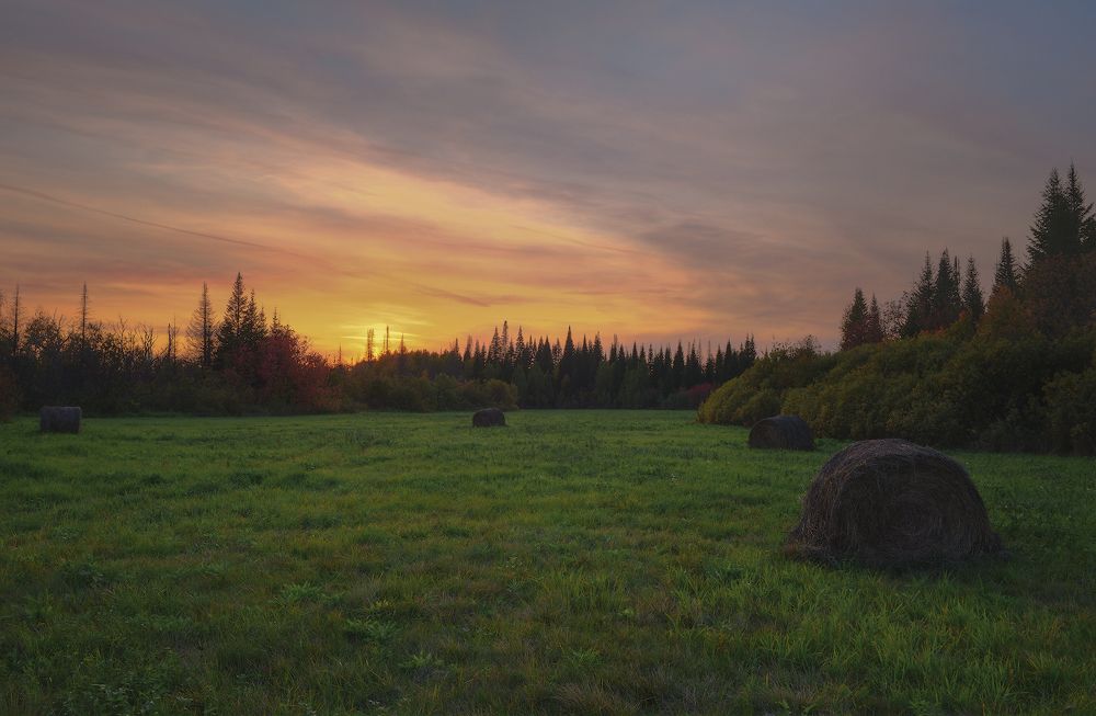 Photograph by Денис Литвиненко