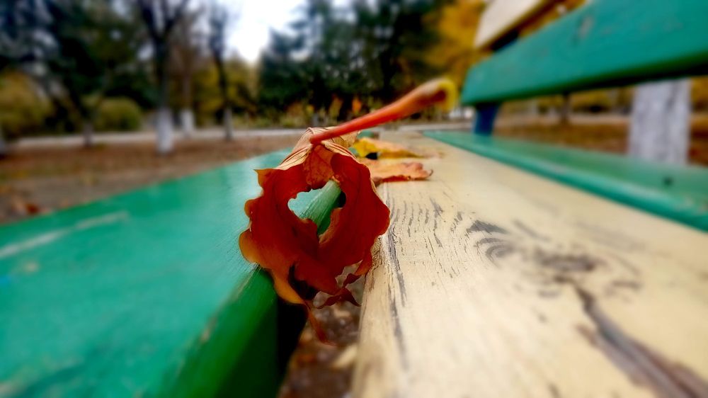Photograph by Ілона Воліна