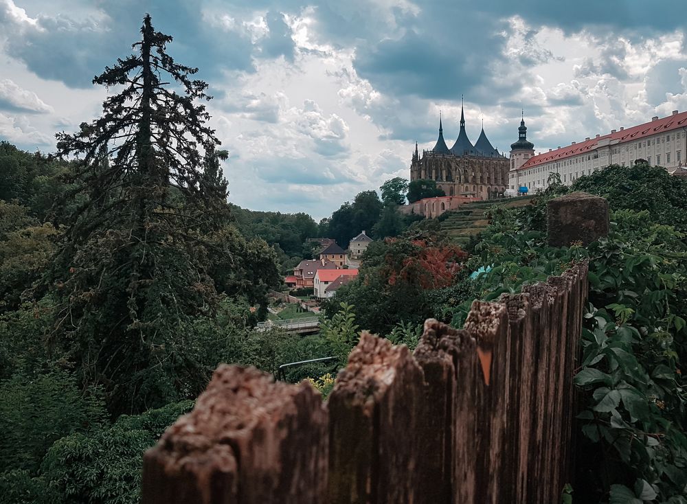 Photograph by Виктория Максюта