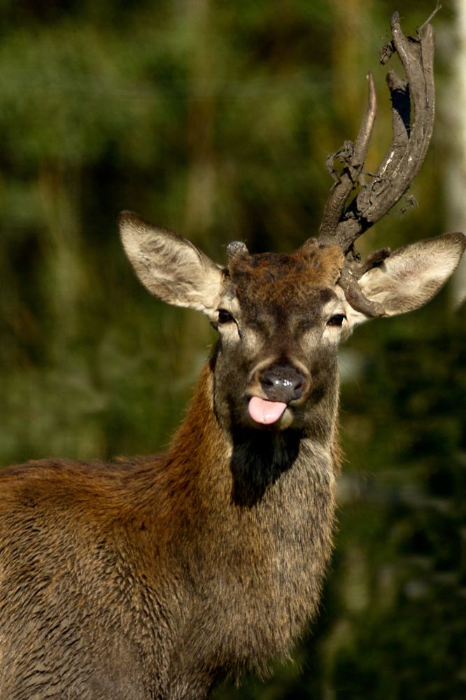 Photograph by Anna Suchcicka