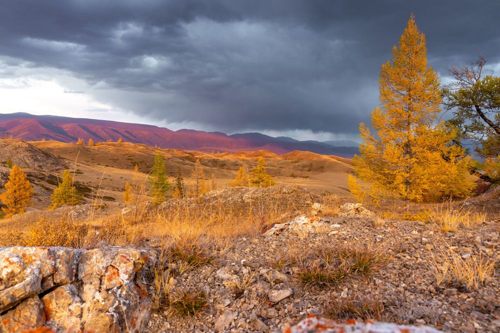 Photograph by Евгения Чех