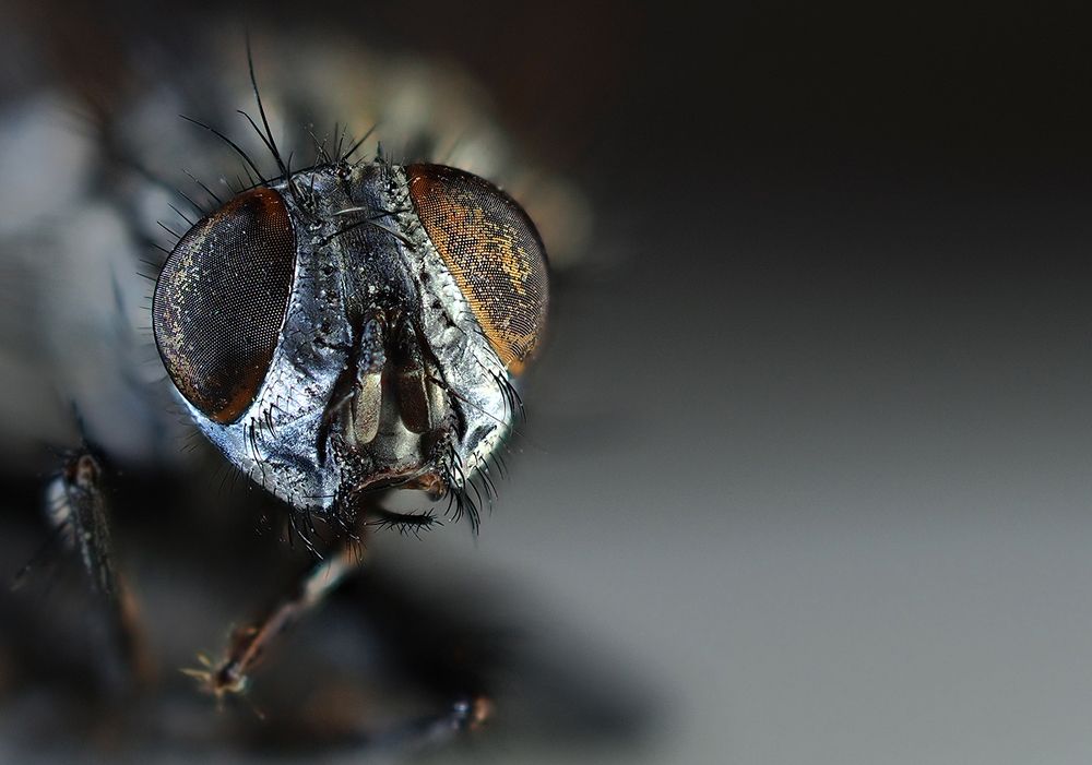 Photograph by Georgios Pallas