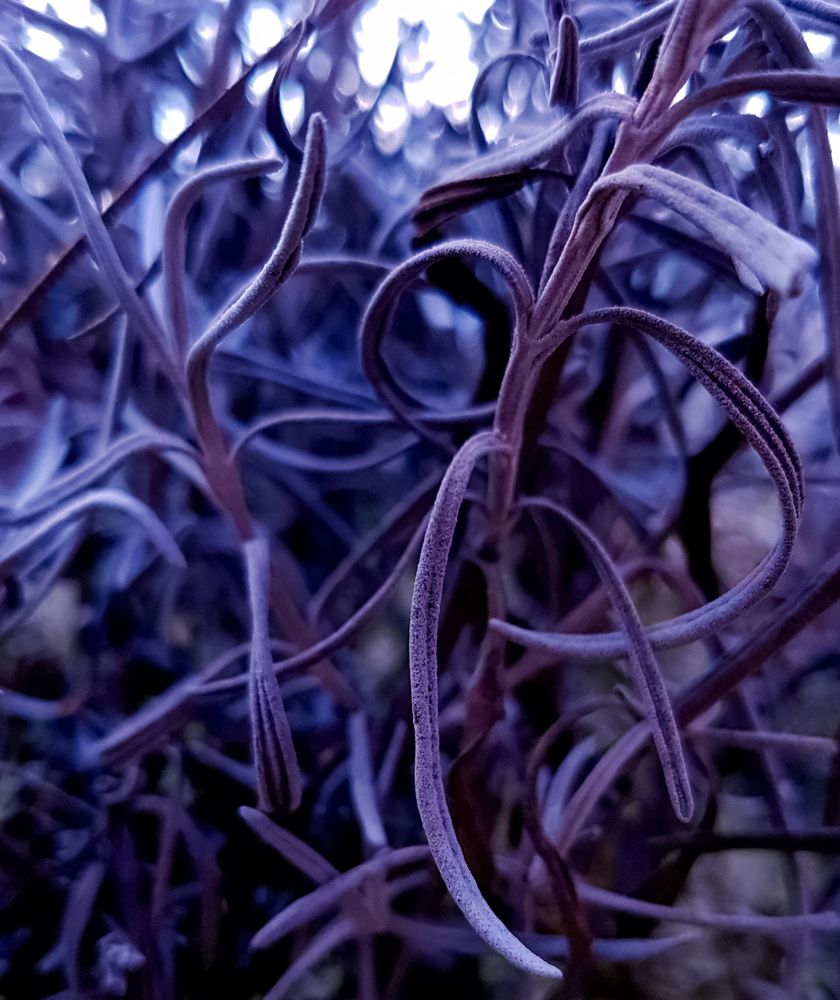 Photograph by Виктория Максюта