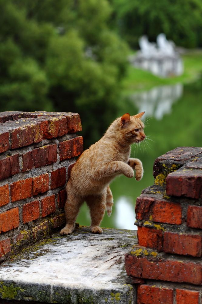 Photograph by Константин Лагоденко