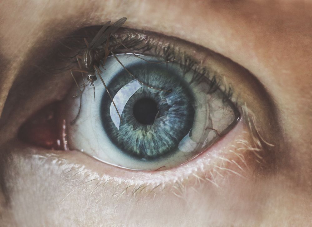 Photograph by Gabriela Ottova