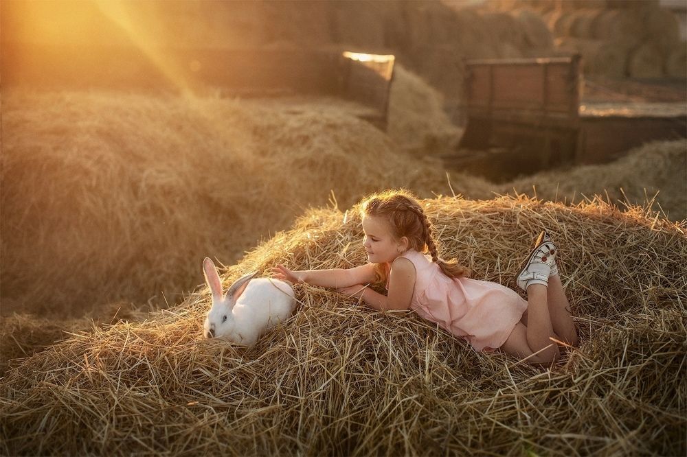 Photograph by Татьяна Козлова