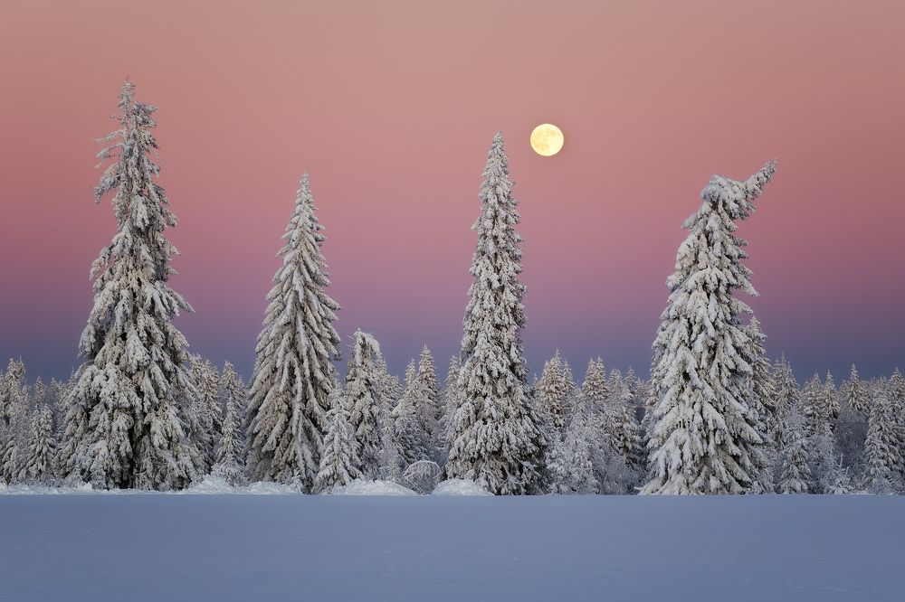 Photograph by Антон Кошетаров