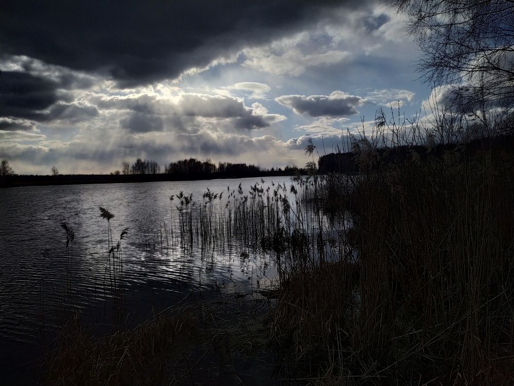 Свет и тень над озером