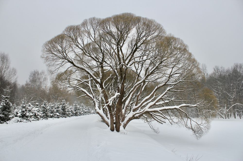 Photograph by Юрий Макаренко