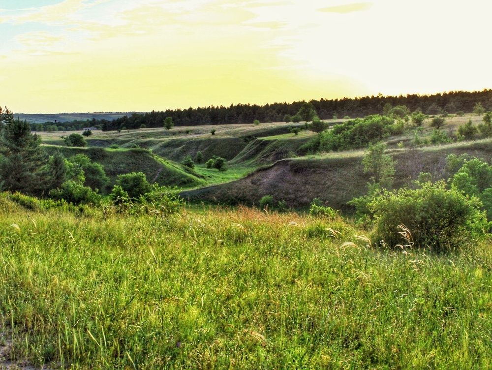 Photograph by Елизавета Бордюгова