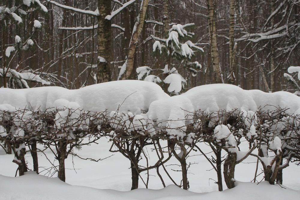 Photograph by Юрий Макаренко