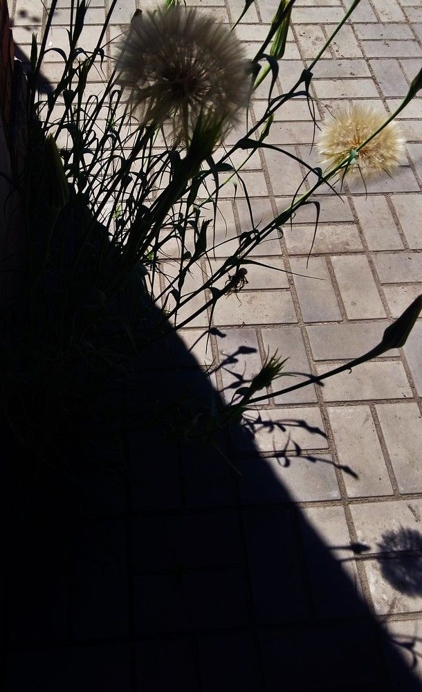 Photograph by Агнаев Андрей