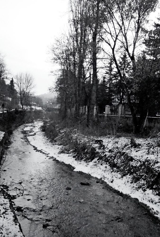 Photograph by Евгений Бригиневич - Снежин