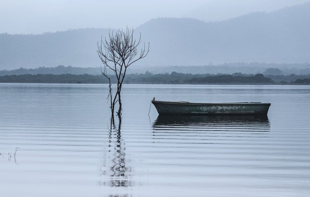 Photograph by Sathish K