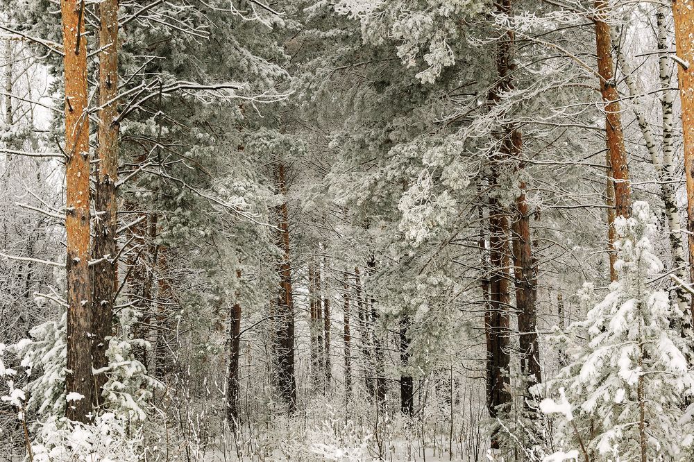Фотография автора Рамиль Фаттахов